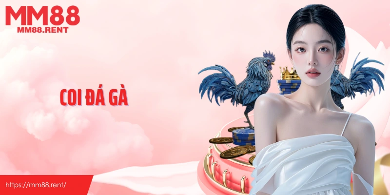 Coi đá gà