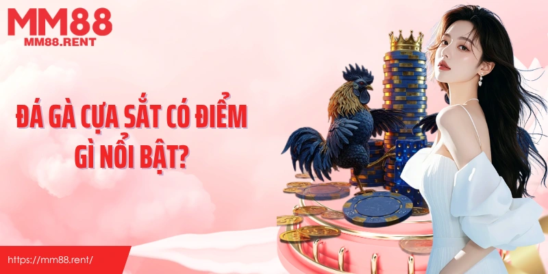 Đá gà cựa sắt có điểm gì nổi bật?