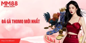 Đá gà thomo mới nhất