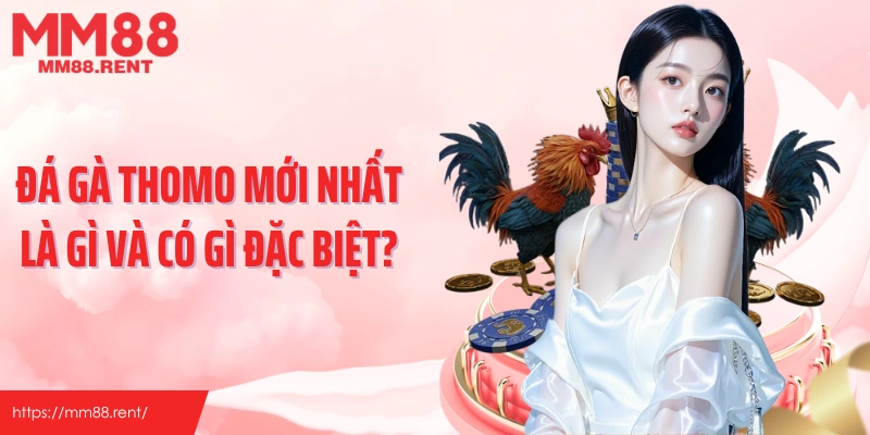 Đá gà thomo mới nhất là gì và có gì đặc biệt?