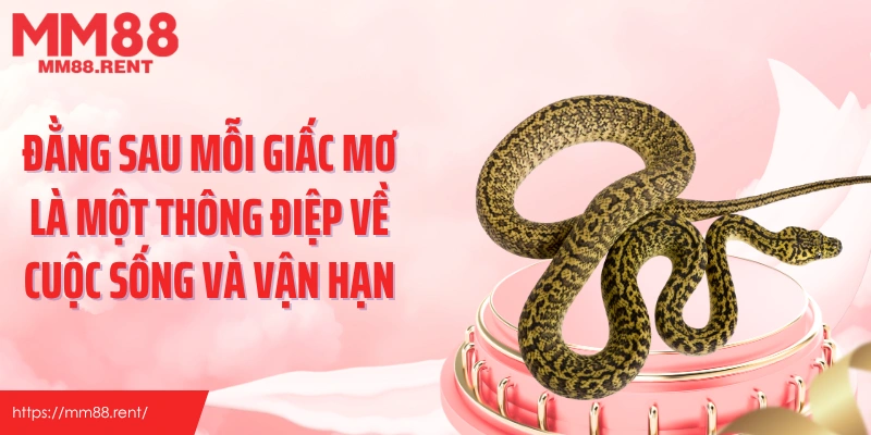 Đằng sau mỗi giấc mơ là một thông điệp về cuộc sống và vận hạn