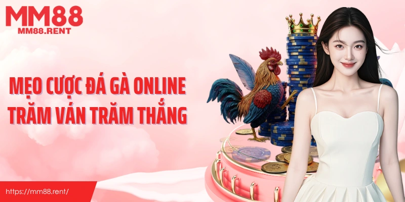Mẹo cược đá gà online trăm ván trăm thắng