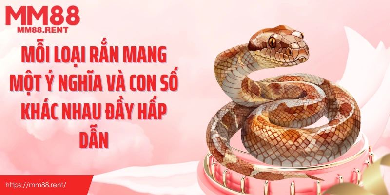 Mỗi loại rắn mang một ý nghĩa và con số khác nhau đầy hấp dẫn