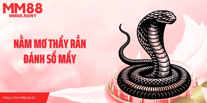 Nằm mơ thấy rắn đánh số mấy