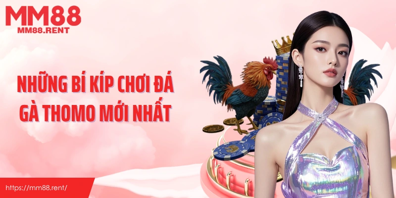 Những bí kíp chơi đá gà thomo mới nhất