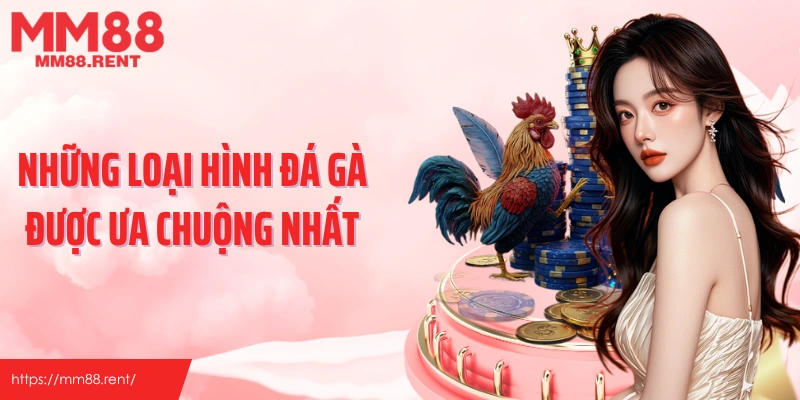 Những loại hình đá gà được ưa chuộng nhất