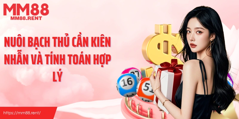 Nuôi bạch thủ cần kiên nhẫn và tính toán hợp lý