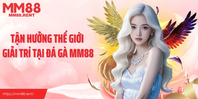 Tận hưởng thế giới giải trí tại đá gà MM88