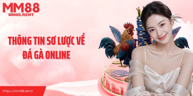 Thông tin sơ lược về đá gà online