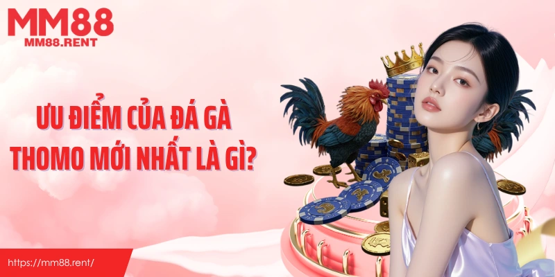 Ưu điểm của đá gà thomo mới nhất là gì?